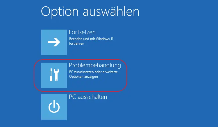 Screenshot: Windows 10 Problembehandlung