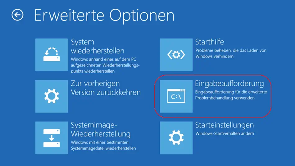Option  Screenshot: Option