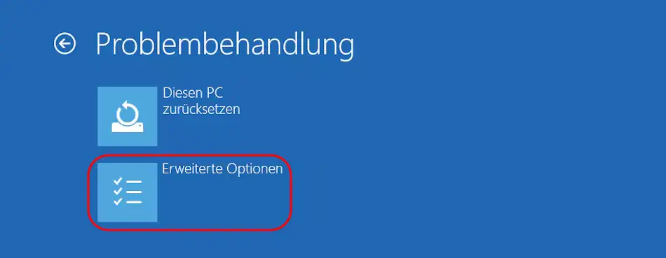 Erweiterte Optionen Screenshot: Erweiterte Optionen