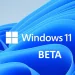 Wie man Windows 11 Beta herunterlädt und installiert