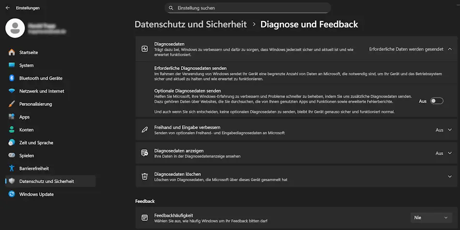 Screenshot: Windows 11 Einstellungen Diagnose