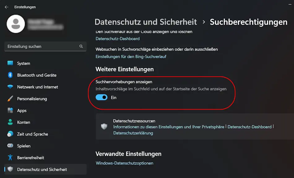 Screenshot: Windows 11 Einstellungen Suche